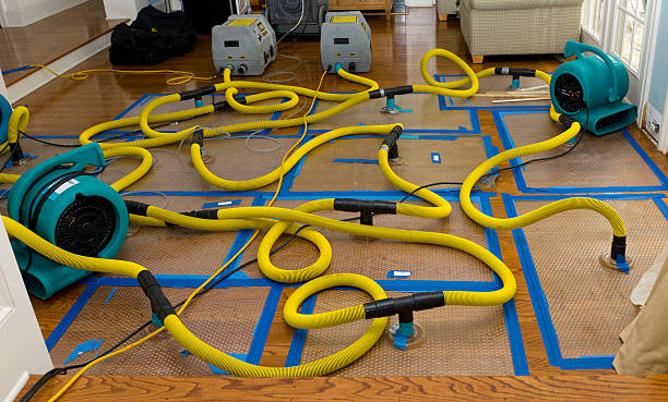 Professional Water Damage Repair technician working in Moss Beach, CA